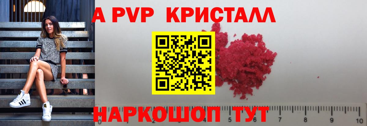 A-PVP СК КРИС Бийск