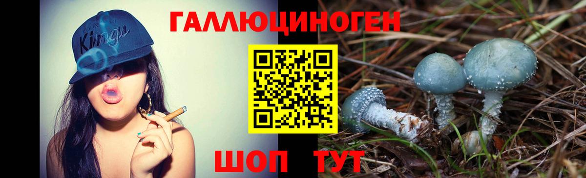 Псилоцибиновые грибы Magic Shrooms  Вход с VPN  Бийск  Галлюциногенные грибы мухоморы 